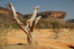 mali4089