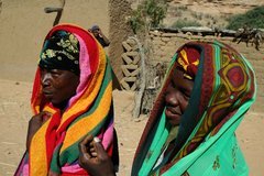 mali4131