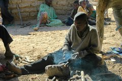 mali4135