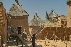 mali4136