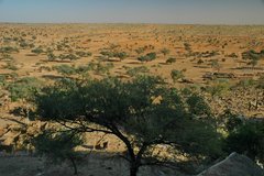 mali4140