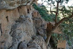 mali4141
