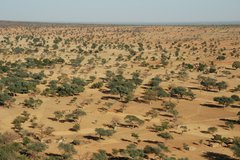 mali4144