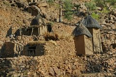 mali4161
