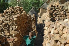 mali4164