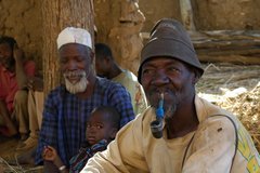 mali4179