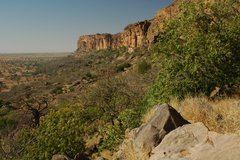 mali4182