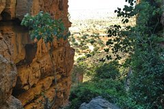 mali4184