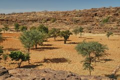 mali4186