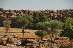 mali4187