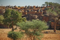 mali4188