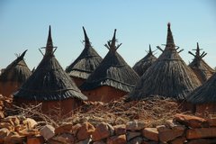 mali4196