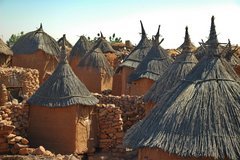 mali4202