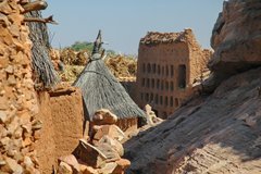 mali4204