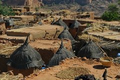 mali4209