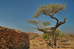 mali4213