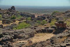 mali4218