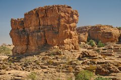 mali4228