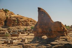 mali4229