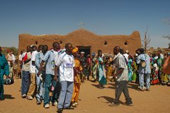 mali4231
