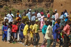 mali4233