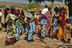 mali4239