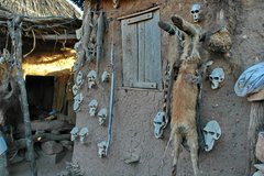 mali4251