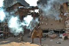 mali4255