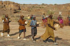 mali4266