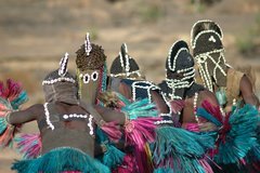 mali4293