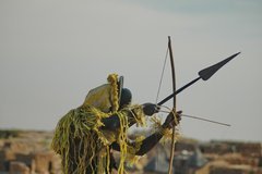 mali4331