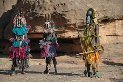 mali4353