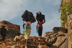mali4365
