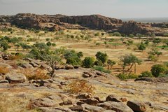 mali4367