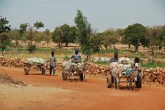 mali4372
