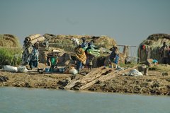 mali5018