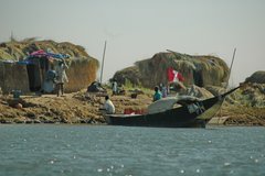 mali5019