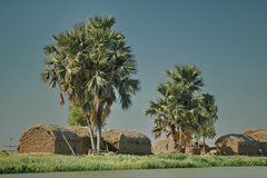 mali5028