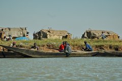 mali5031