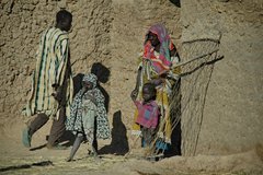 mali5035