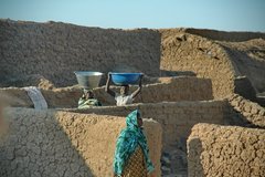 mali5036