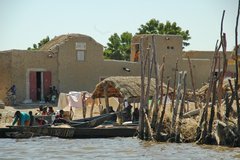 mali5039