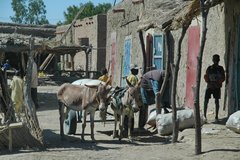 mali5043