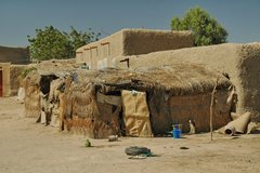mali5047