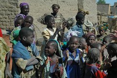 mali5048