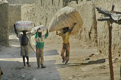 mali5049