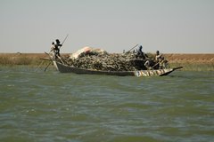mali5065