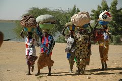 mali5068