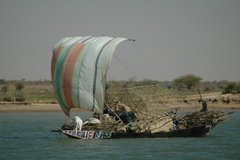 mali5084