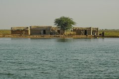 mali5096